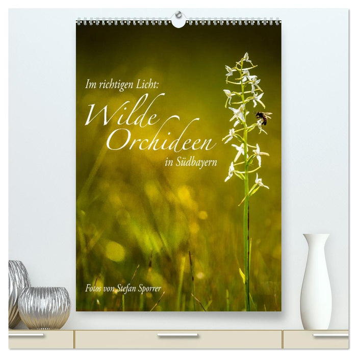 Im richtigen Licht: Wilde Orchideen in Südbayern (CALVENDO Premium Wandkalender 2027)