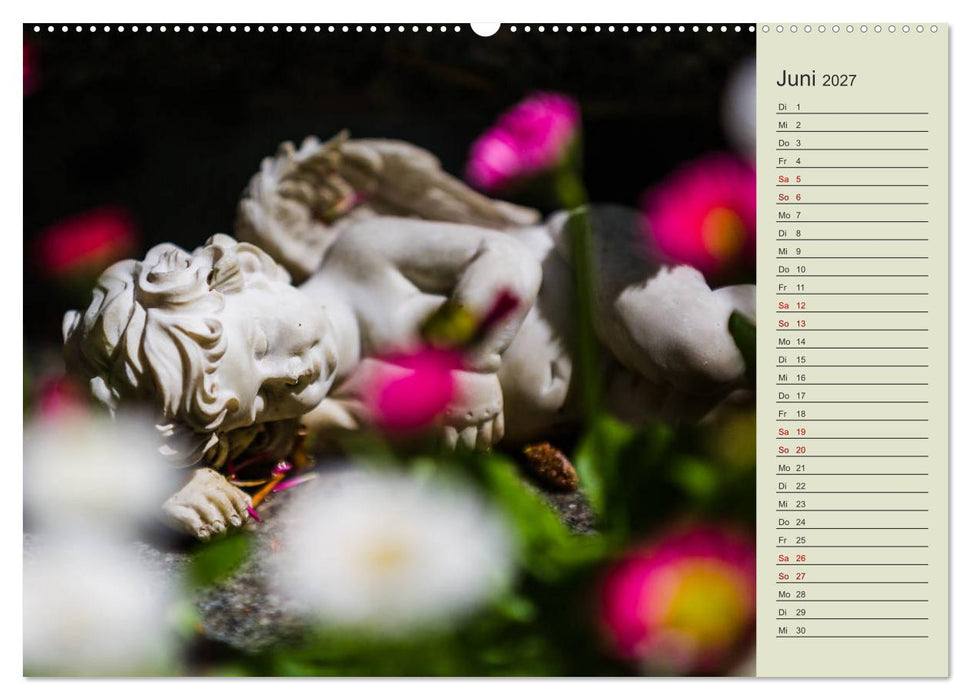 Engel - Begleiter für jeden Tag (CALVENDO Premium Wandkalender 2027)