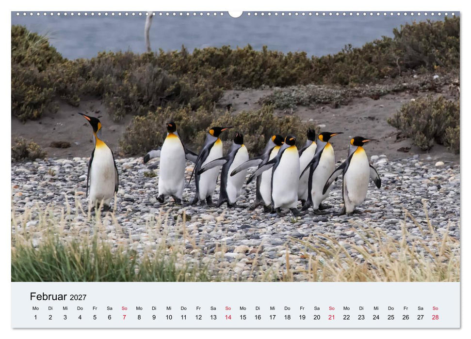Feuerland - Am Puls der Wildnis (CALVENDO Premium Wandkalender 2027)