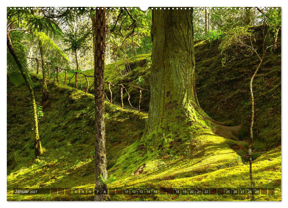 Terra Nostra Garten - ein botanisches Juwel auf den Azoren (CALVENDO Premium Wandkalender 2027)