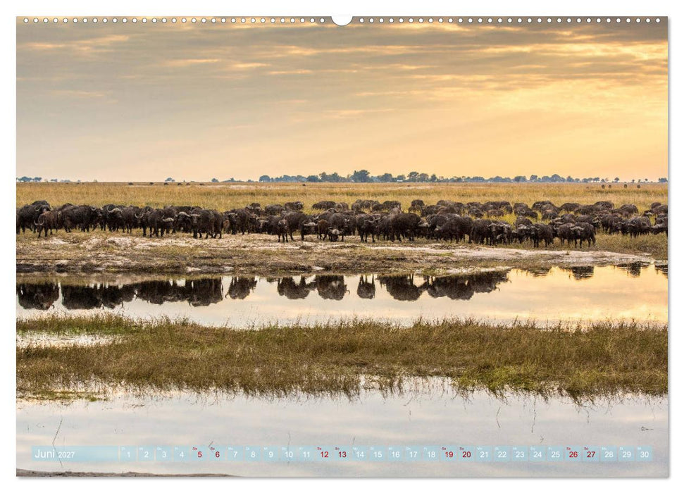 Chobe River - Eine spannende Flussfahrt in Botswana (CALVENDO Wandkalender 2027)