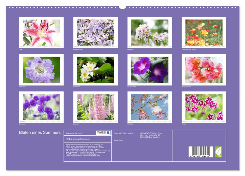 Blüten eines Sommers (CALVENDO Premium Wandkalender 2027)