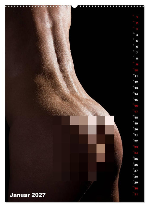 Andro~Po~sophisches (CALVENDO Wandkalender 2027)