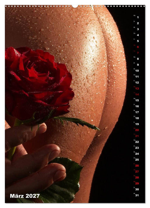 Andro~Po~sophisches (CALVENDO Wandkalender 2027)