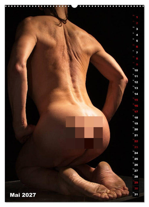 Andro~Po~sophisches (CALVENDO Wandkalender 2027)