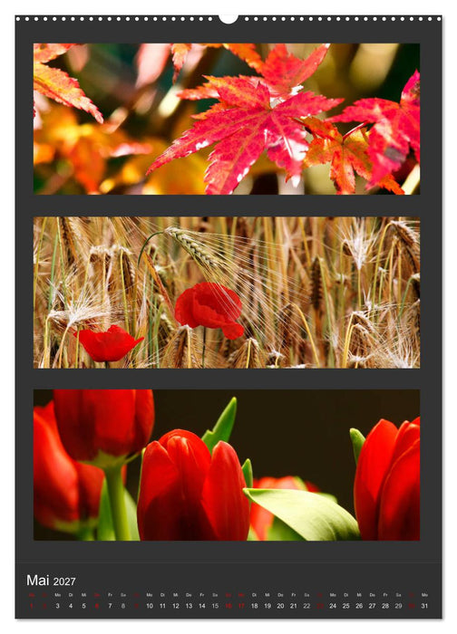 Naturfarben entdecken (CALVENDO Wandkalender 2027)