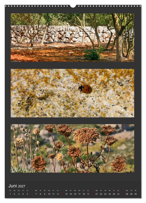 Naturfarben entdecken (CALVENDO Wandkalender 2027)