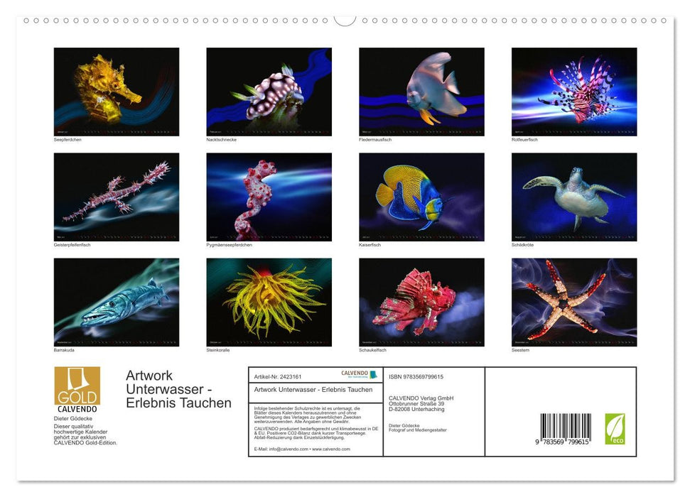 Artwork Unterwasser - Erlebnis Tauchen (CALVENDO Premium Wandkalender 2027)