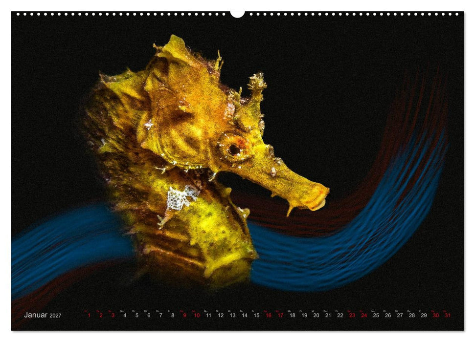 Artwork Unterwasser - Erlebnis Tauchen (CALVENDO Premium Wandkalender 2027)