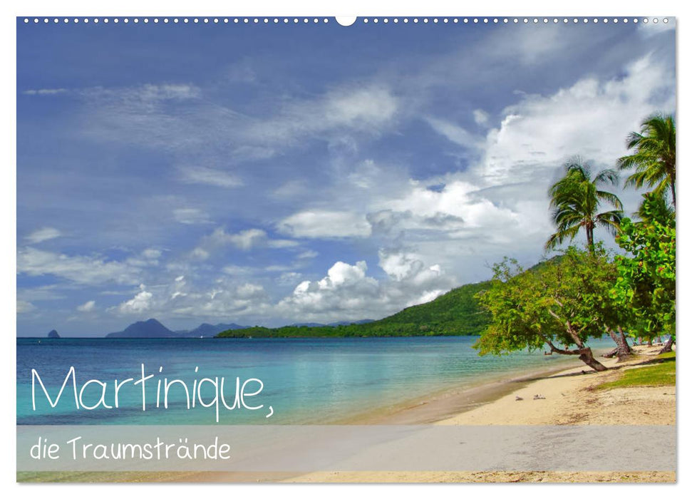 Martinique, die Traumstrände (CALVENDO Wandkalender 2027)