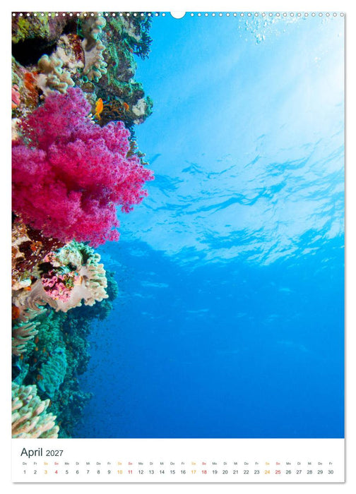 Unter Wasser daheim (CALVENDO Premium Wandkalender 2027)