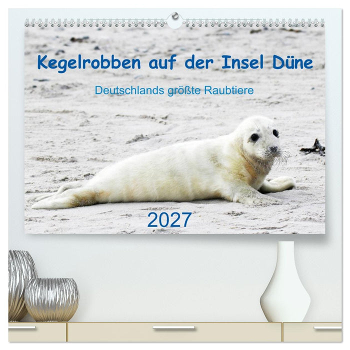 Kegelrobben auf der Insel Düne (CALVENDO Premium Wandkalender 2027)