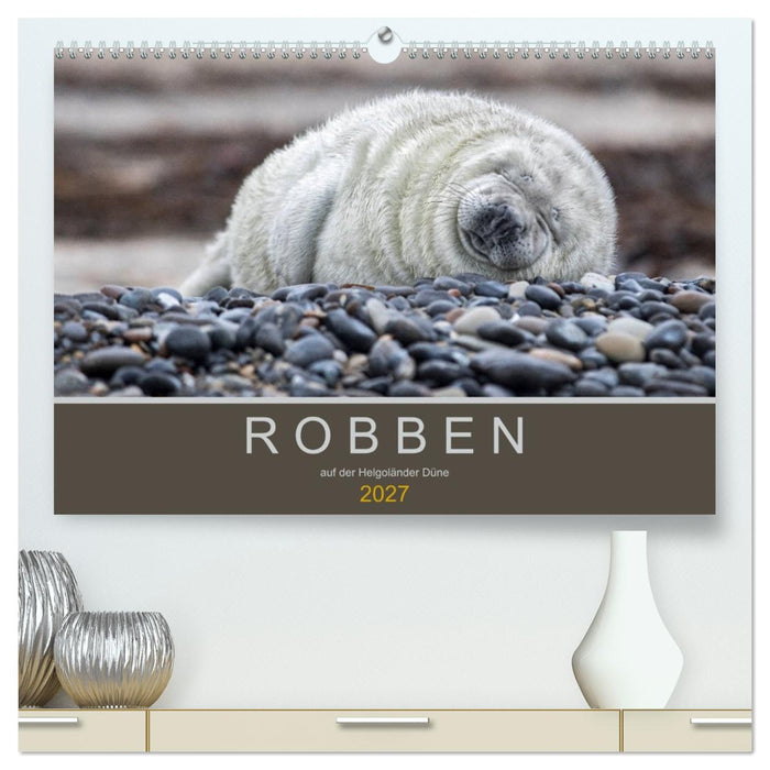 Robben auf der Helgoländer Düne (CALVENDO Premium Wandkalender 2027)