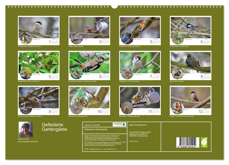 Gefiederte Gartengäste (CALVENDO Premium Wandkalender 2027)