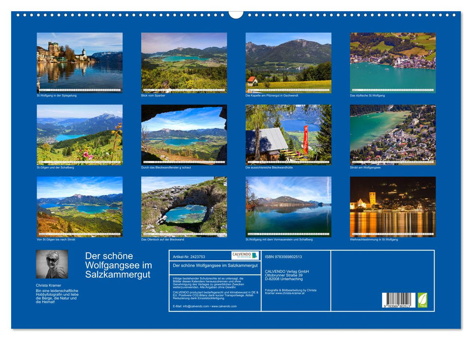 Der schöne Wolfgangsee im Salzkammergut (CALVENDO Wandkalender 2027)