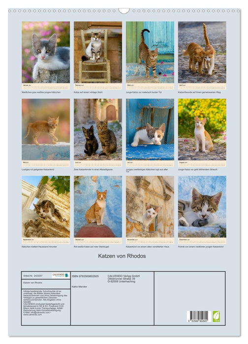 Katzen von Rhodos (CALVENDO Wandkalender 2027)