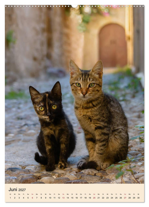 Katzen von Rhodos (CALVENDO Wandkalender 2027)