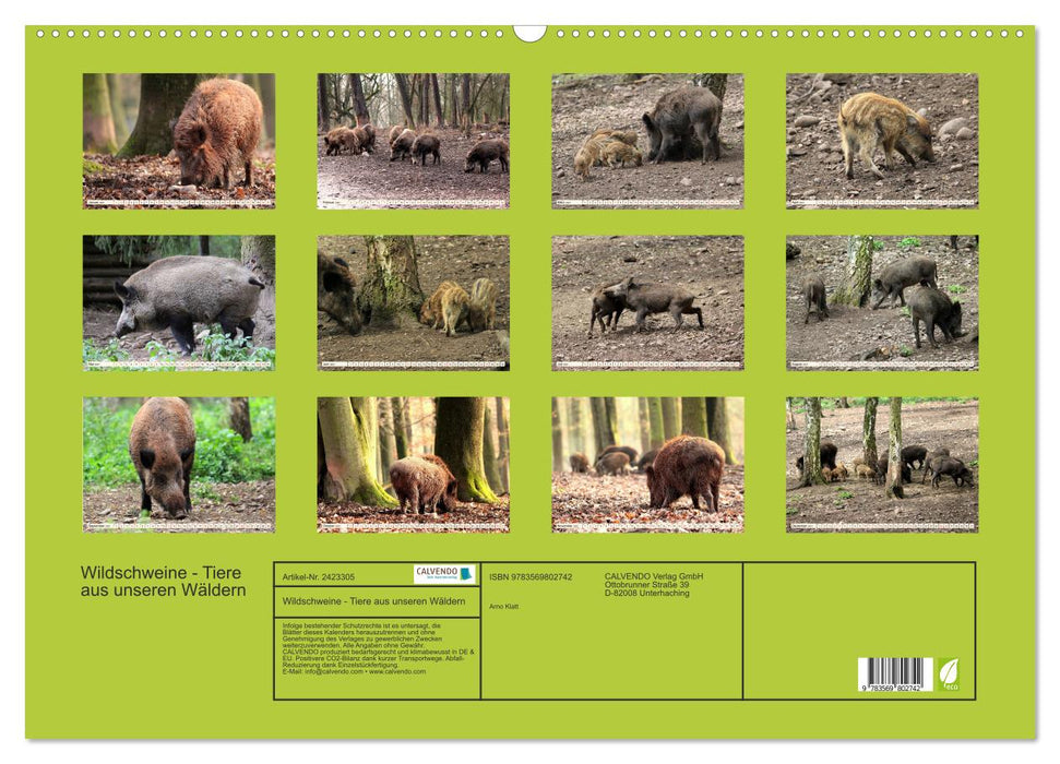 Wildschweine - Tiere aus unseren Wäldern (CALVENDO Wandkalender 2027)