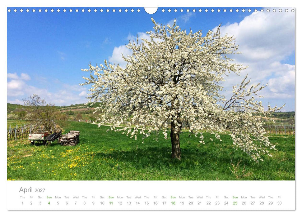 Touring Austria (CALVENDO Monthly Calendar 2027)