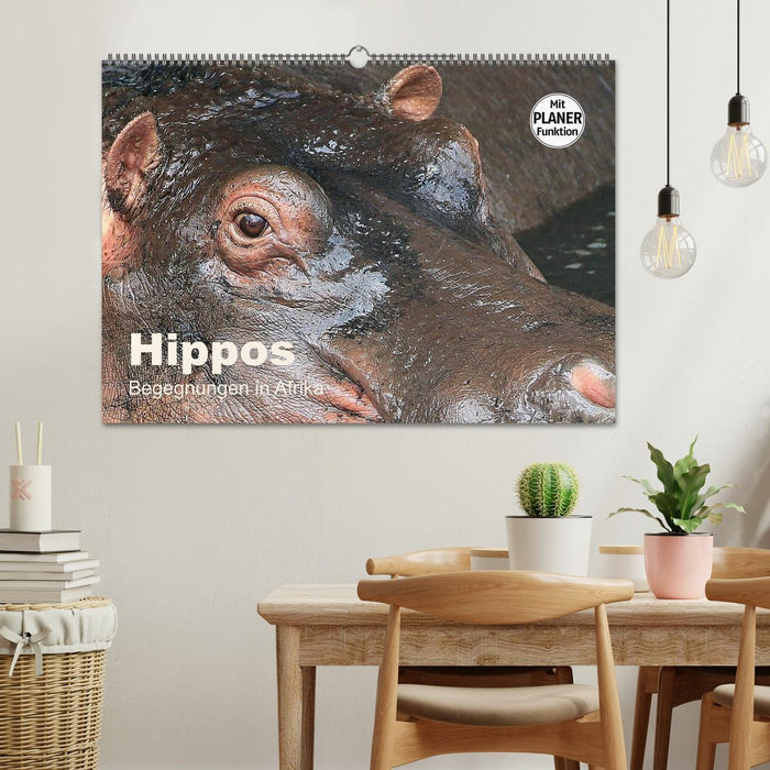 Hippos - Begegnungen in Afrika (CALVENDO Wandkalender 2027)