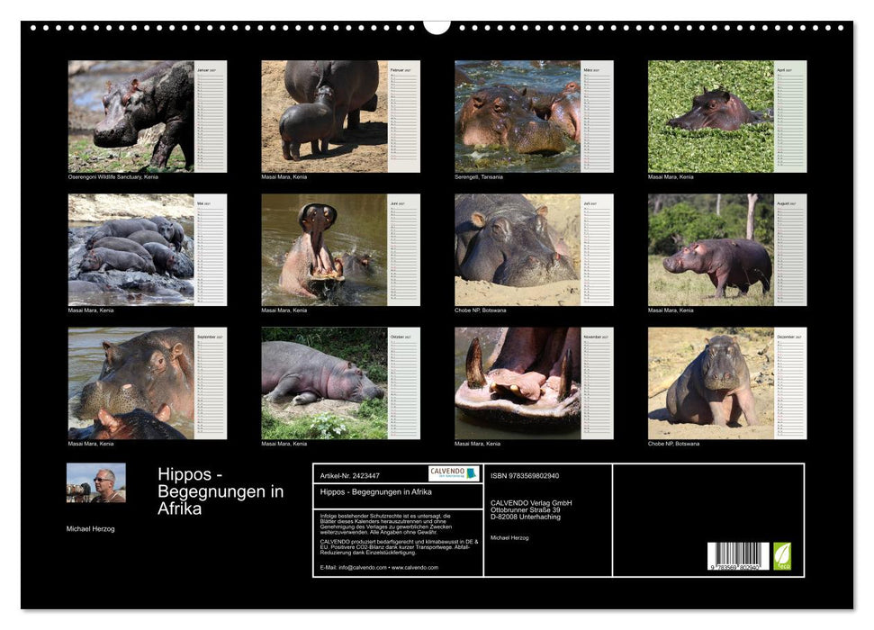 Hippos - Begegnungen in Afrika (CALVENDO Wandkalender 2027)