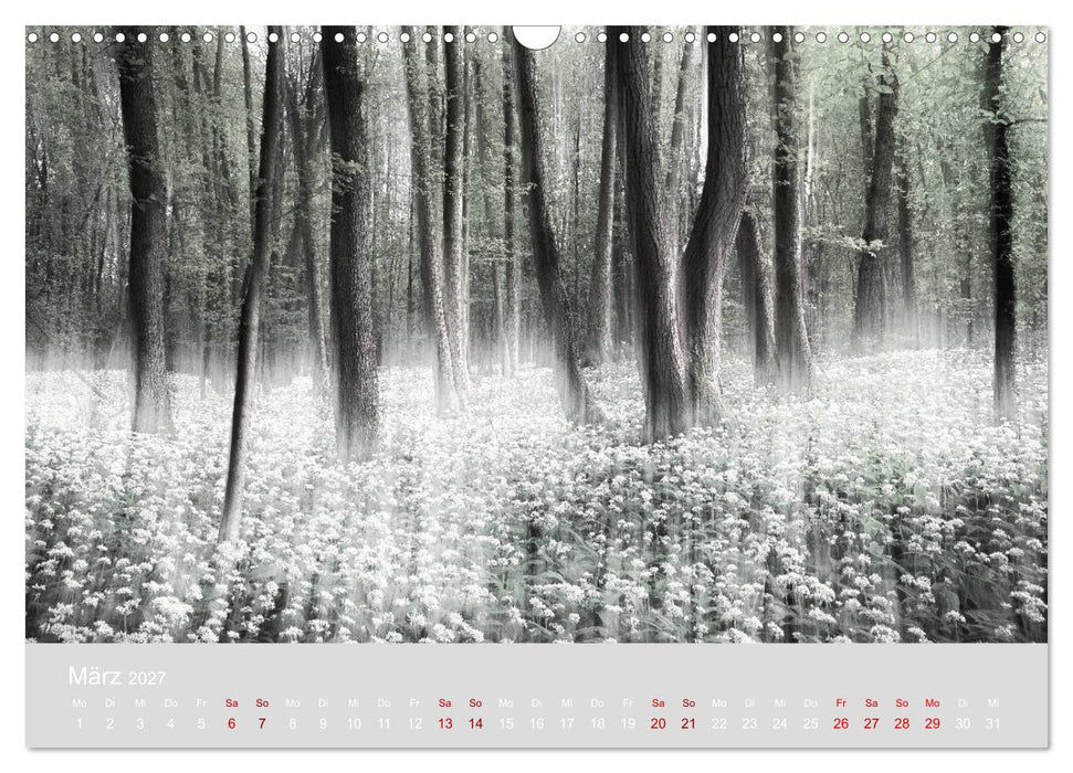 Im Lichtglanz der Jahreszeiten (CALVENDO Wandkalender 2027)