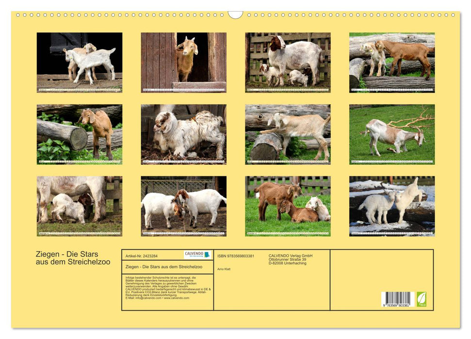 Ziegen - Die Stars aus dem Streichelzoo (CALVENDO Wandkalender 2027)