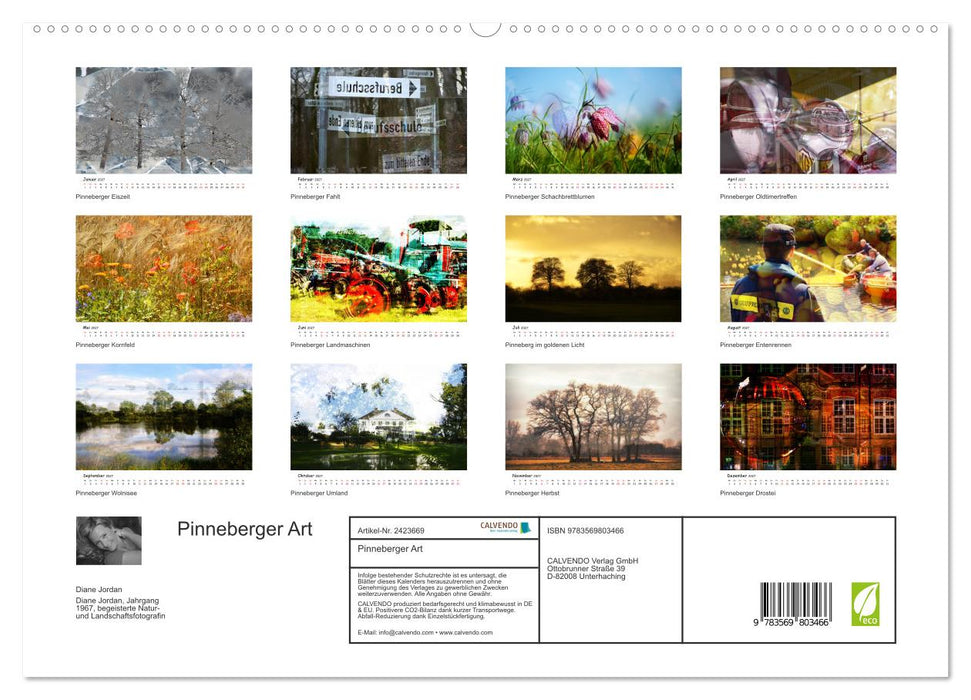Pinneberger Art (CALVENDO Premium Wandkalender 2027)