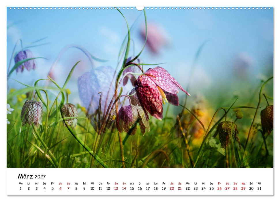 Pinneberger Art (CALVENDO Premium Wandkalender 2027)