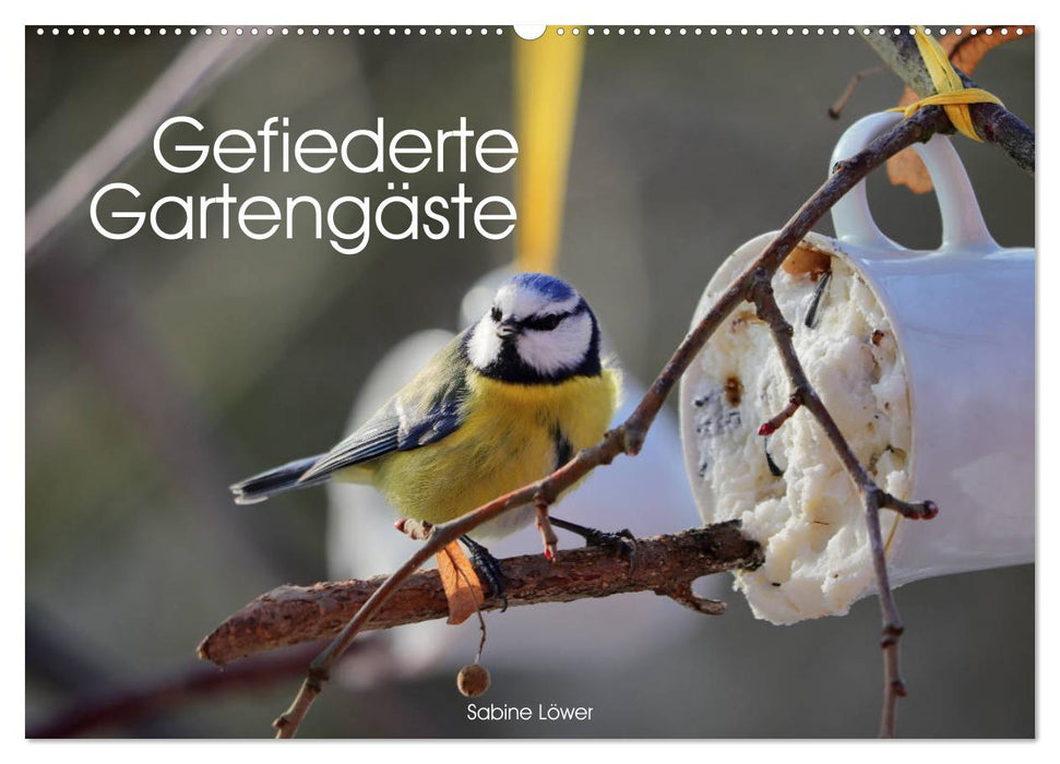 Gefiederte Gartengäste (CALVENDO Wandkalender 2027)