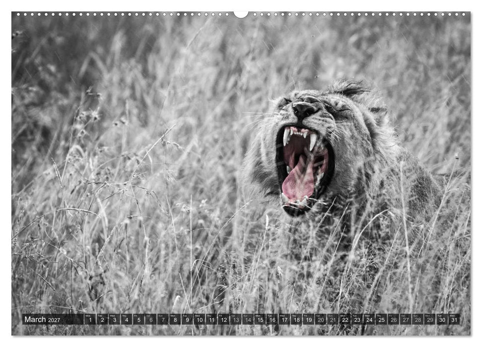 tanzania fine art (CALVENDO Premium-Calendar 2027)