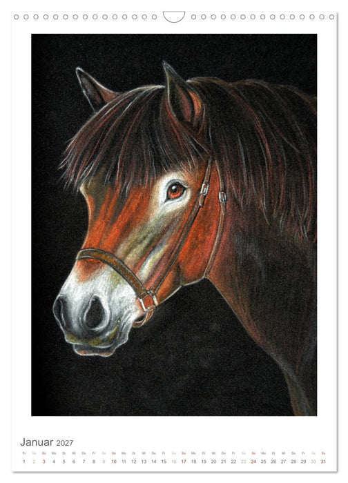 Das Pferd - Das Kunstwerk (CALVENDO Wandkalender 2027)