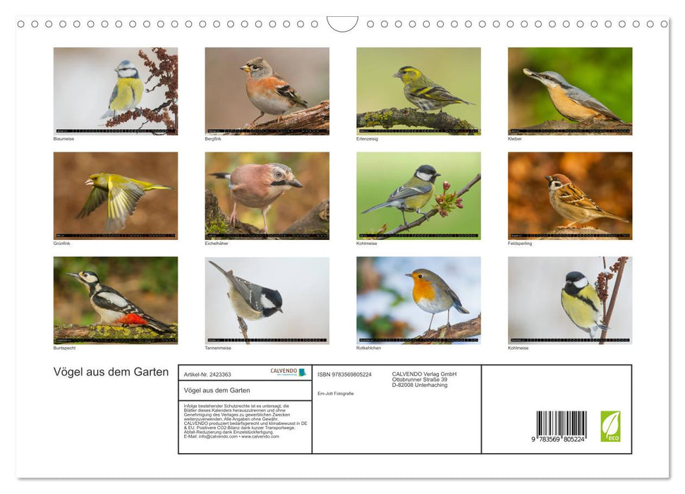 Vögel aus dem Garten (CALVENDO Wandkalender 2027)