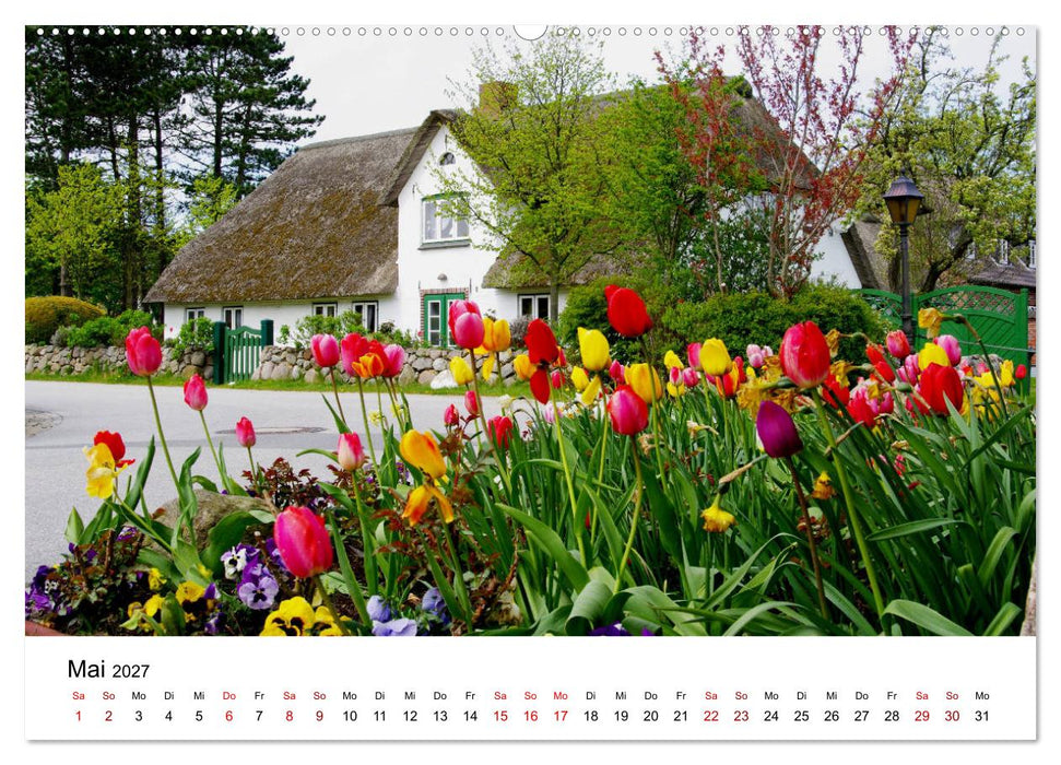 Insel Amrum - Ein Juwel unterm norddeutschen Himmel (CALVENDO Wandkalender 2027)