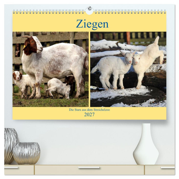 Ziegen - Die Stars aus dem Streichelzoo (CALVENDO Premium Wandkalender 2027)