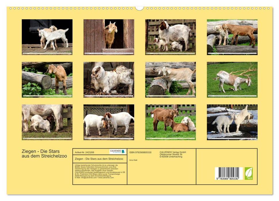 Ziegen - Die Stars aus dem Streichelzoo (CALVENDO Premium Wandkalender 2027)