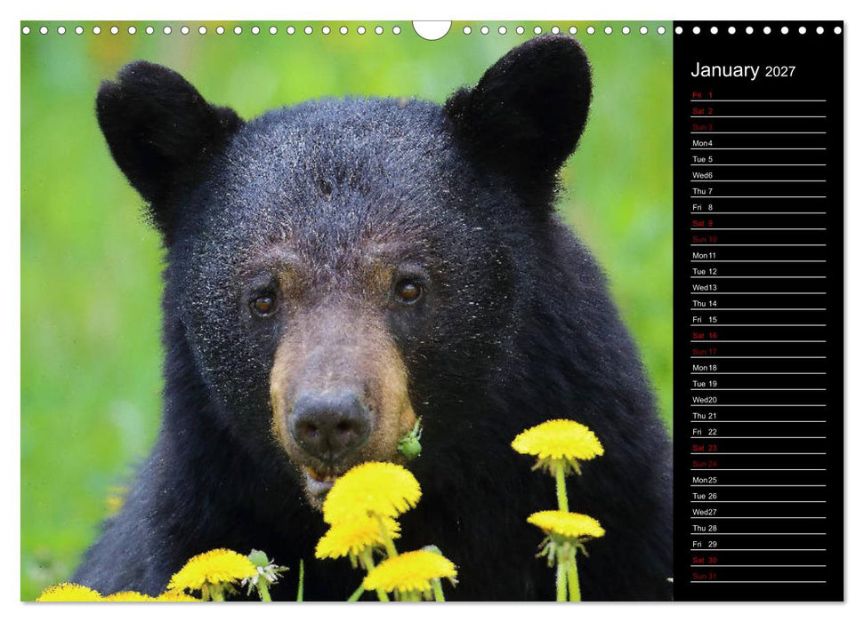 North America's Wildlife (CALVENDO Monthly Calendar 2027)