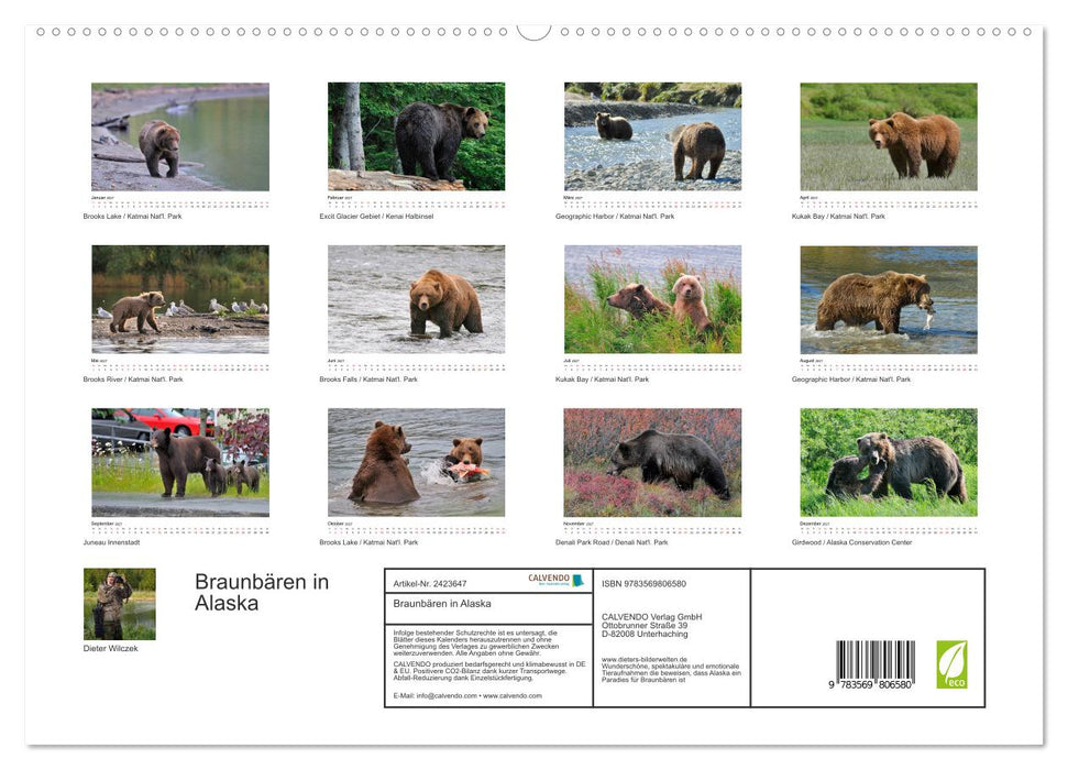 Braunbären in Alaska (CALVENDO Premium Wandkalender 2027)