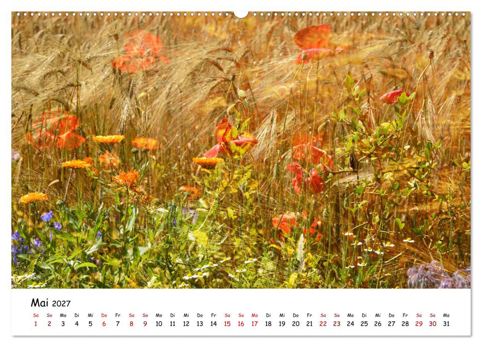 Pinneberger Art (CALVENDO Wandkalender 2027)