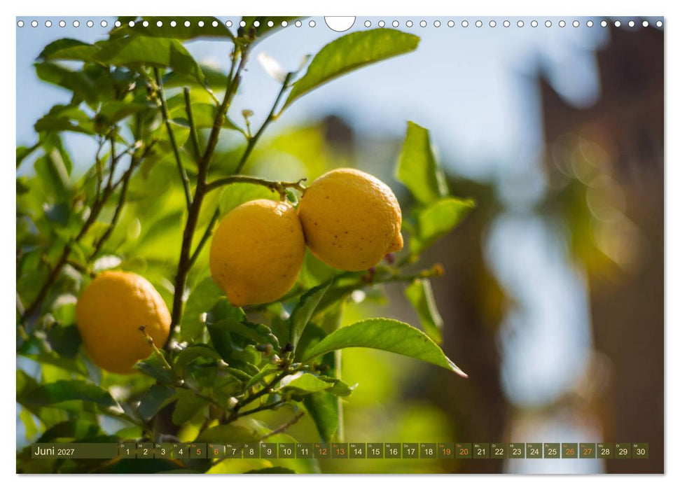 Lazise am Gardasee - Momente der Ruhe (CALVENDO Wandkalender 2027)