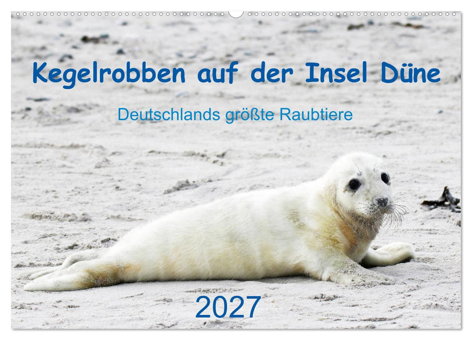 Kegelrobben auf der Insel Düne (CALVENDO Wandkalender 2027)