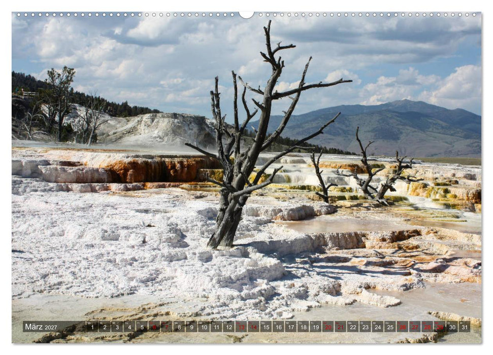 Farben des Yellowstone National Park 2027 (CALVENDO Premium Wandkalender 2027)