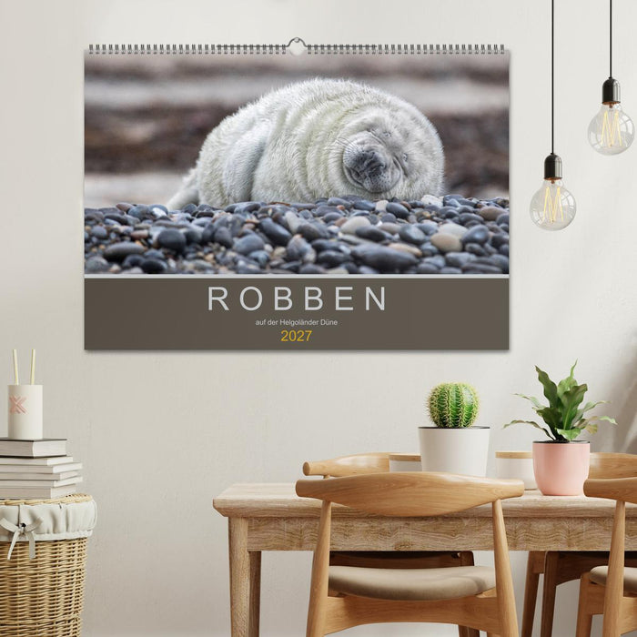 Robben auf der Helgoländer Düne (CALVENDO Wandkalender 2027)