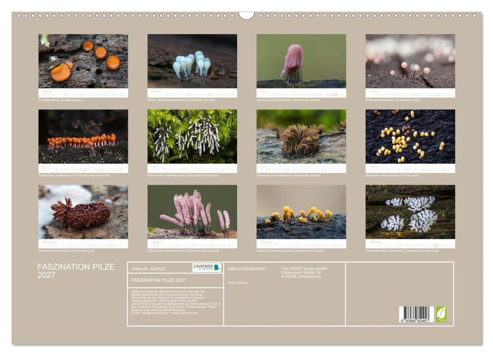 FASZINATION PILZE 2027 (CALVENDO Wandkalender 2027)