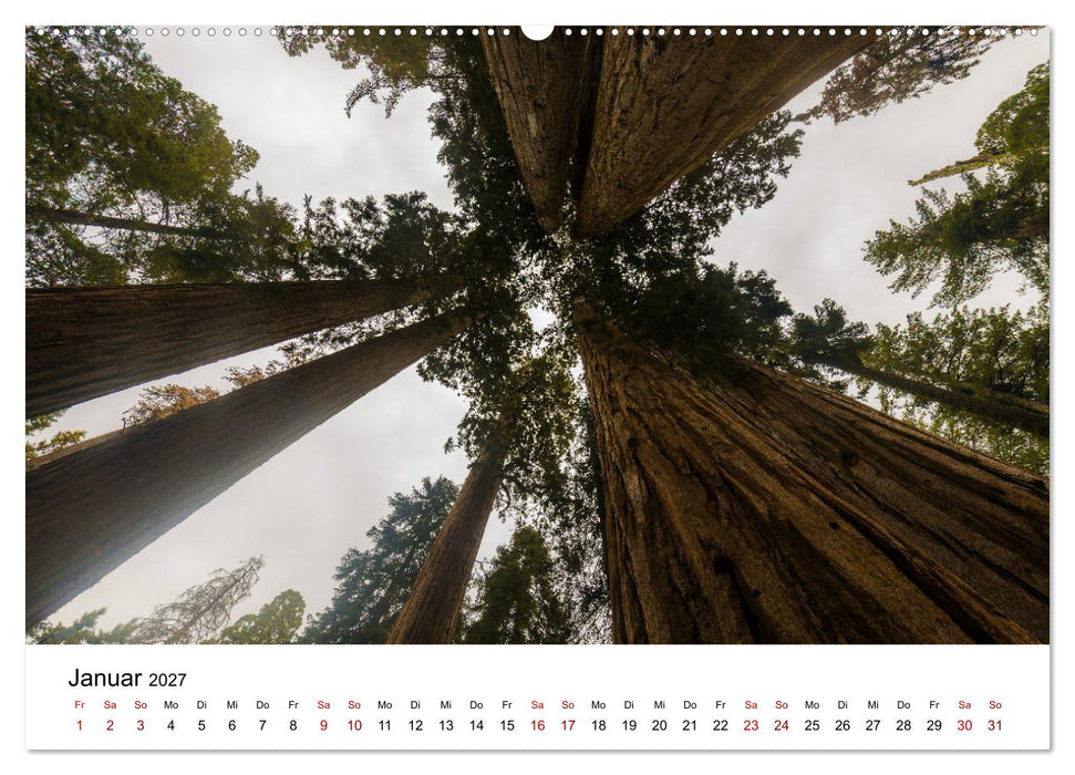 Naturparadiese zwischen Los Angeles und Las Vegas (CALVENDO Premium Wandkalender 2027)