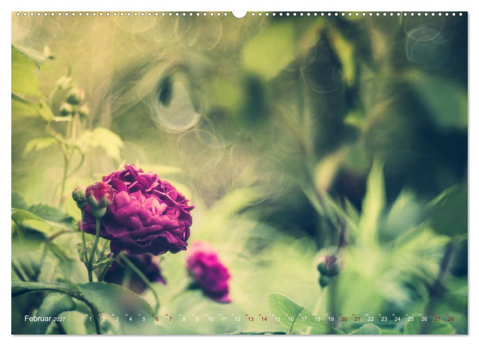 Die Welt der Alten Rosen (CALVENDO Wandkalender 2027)