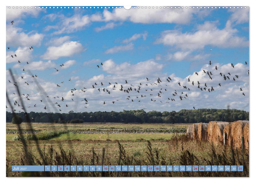 Stralsund und die Boddenlandschaft (CALVENDO Premium Wandkalender 2027)