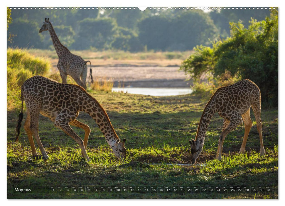 Zambia (CALVENDO Premium-Calendar 2027)