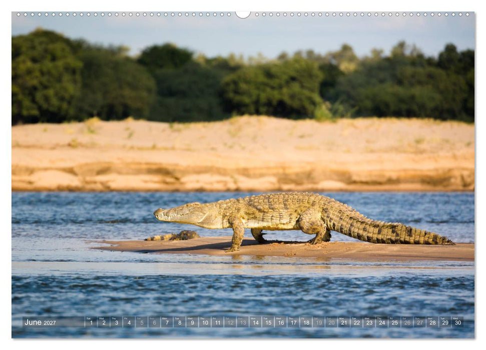 Zambia (CALVENDO Premium-Calendar 2027)