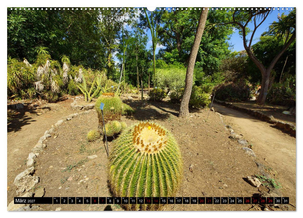 Botanischer Garten Palermo (CALVENDO Wandkalender 2027)